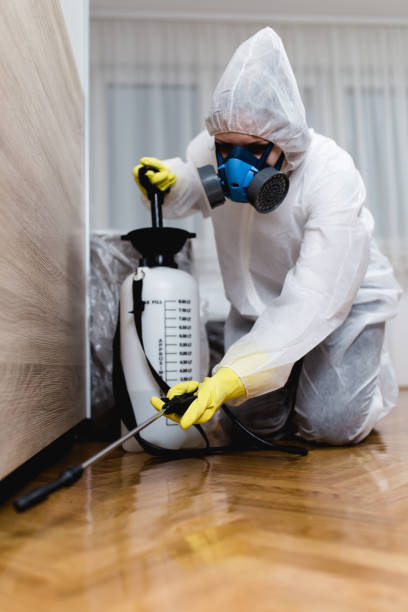 Best Pest Control for Hotels  in Calverton Park, MO